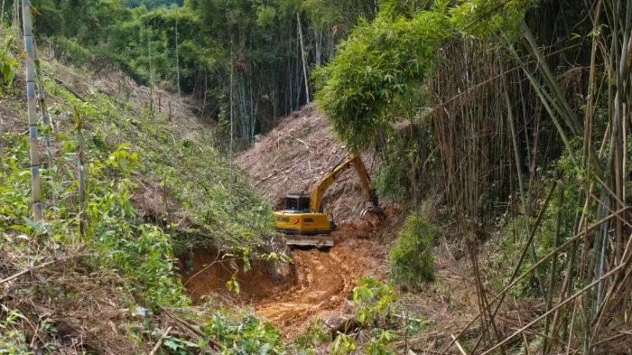 林間“藏龍”，竹?！芭P虎”——徐工林業(yè)挖機廣西俠客行